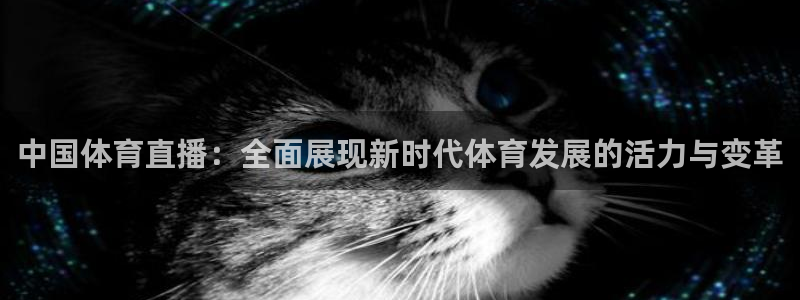 nba球神直播