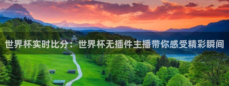 球神足球直播在线观看