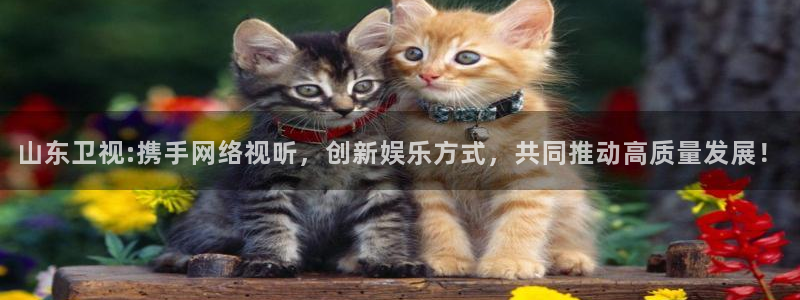 球神直播足球直播在线观看