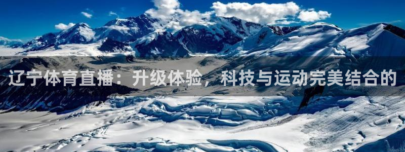 球神直播nba在线直播免费观看：辽宁体育直播：升级体验，科技与运动完美结合的