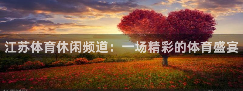 球神直播体育在线观看足球：江苏体育休闲频道：一场精彩的体育盛宴