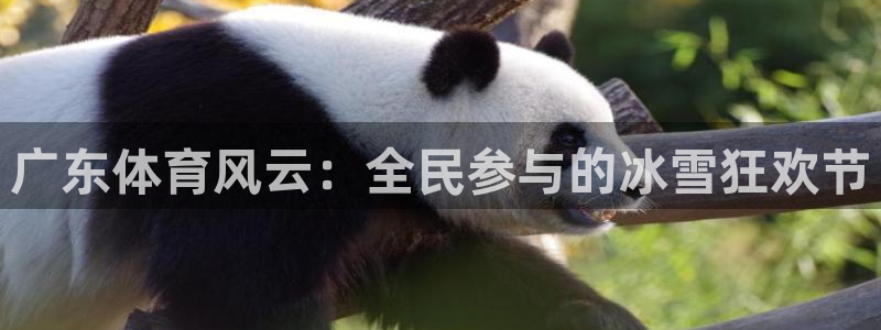 球神直播网：广东体育风云：全民参与的冰雪狂欢节