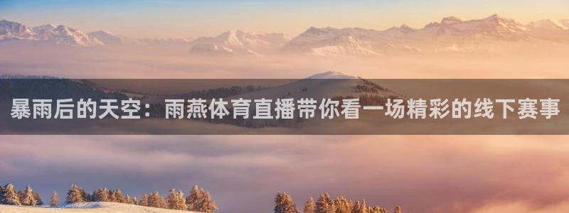 球神直播免费足球直播：暴雨后的天空：雨燕体育直播带你看一场精彩的线下赛事